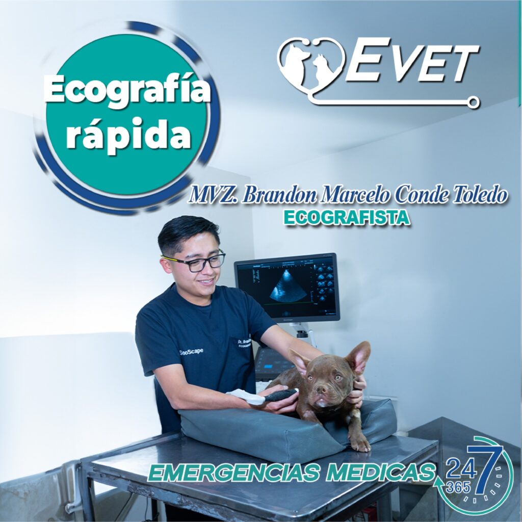 492559087_1261790275953788_2805844342301120750_n