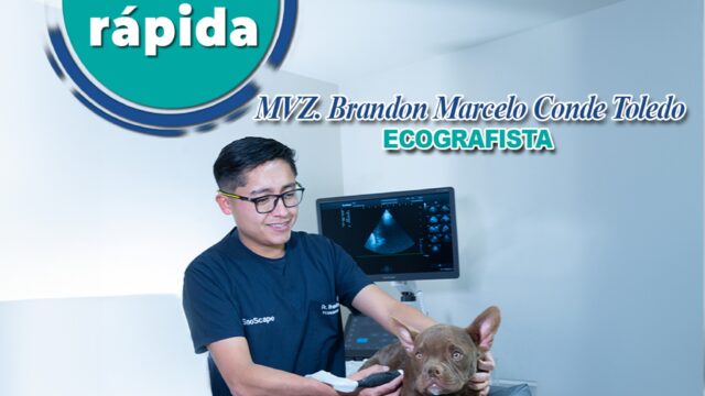 492559087_1261790275953788_2805844342301120750_n