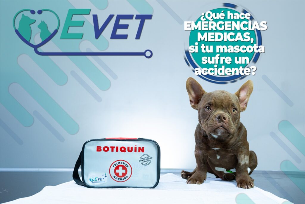 492567219_1261790375953778_2802244501983627406_n