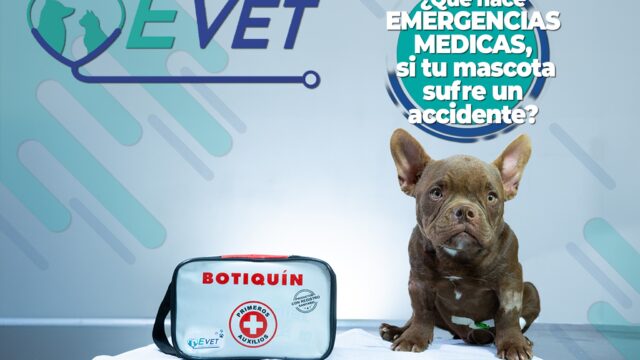 492567219_1261790375953778_2802244501983627406_n