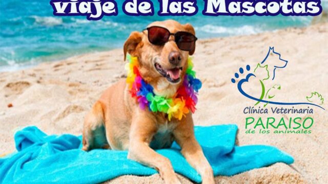 492783946_1242844117841800_2474806426186646536_n