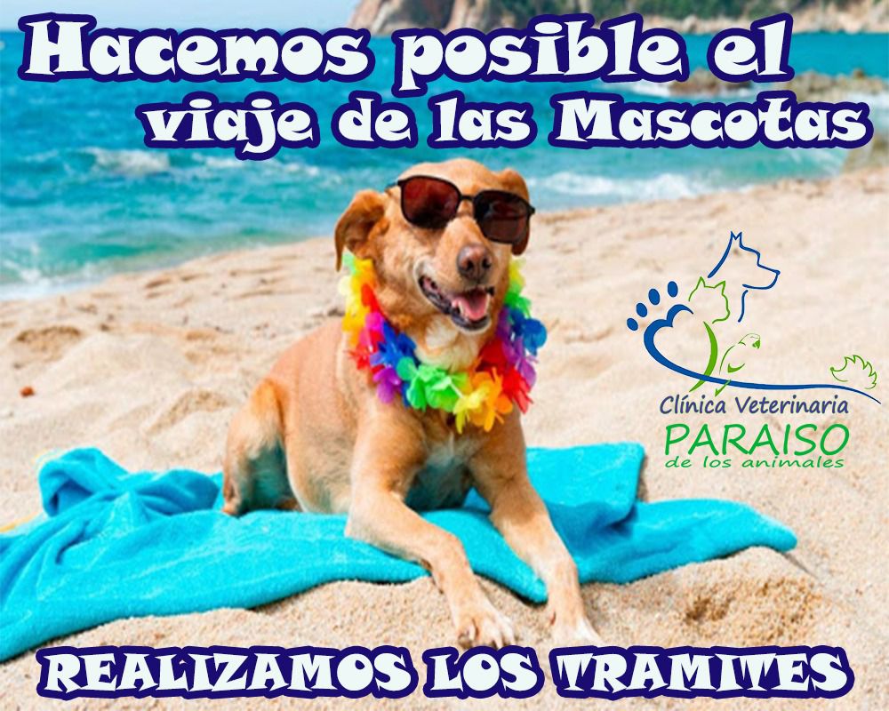 492783946_1242844117841800_2474806426186646536_n