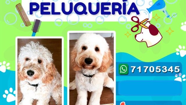 493802815_1270041595122043_1034205198676155443_n