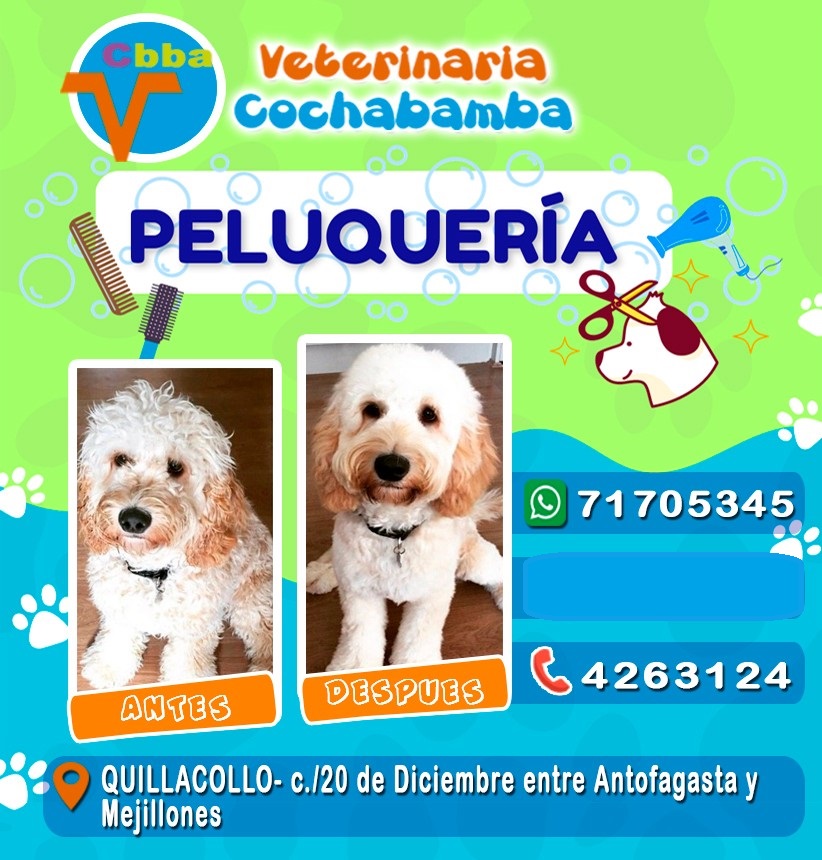 493802815_1270041595122043_1034205198676155443_n