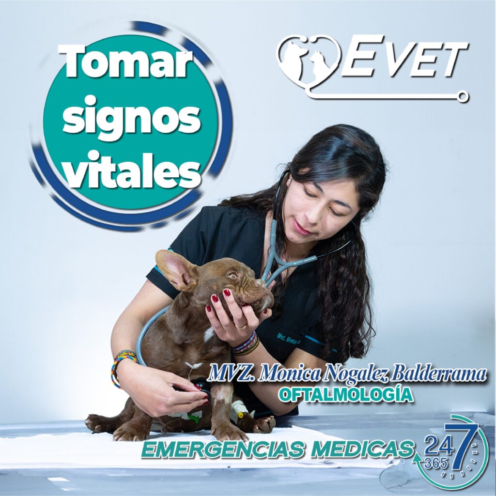 493875363_1261790672620415_6185360488886526660_n