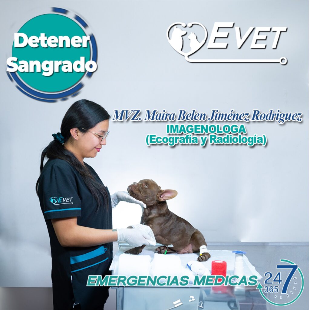 493993820_1261790579287091_2282246359031336337_n