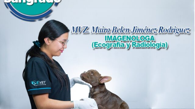 493993820_1261790579287091_2282246359031336337_n