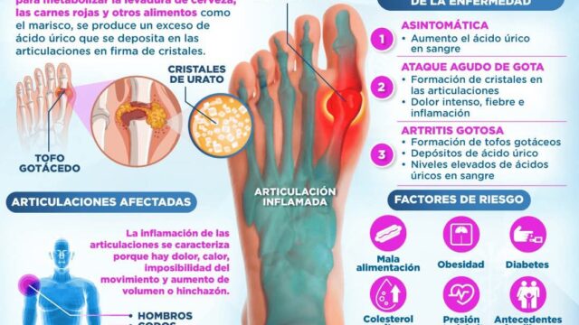 495599307_1214781400440565_9033494773619813694_n