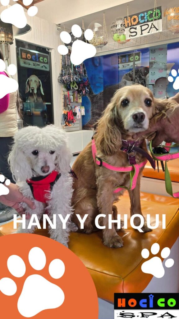 496004610_1277878537674882_4378390640738425084_n