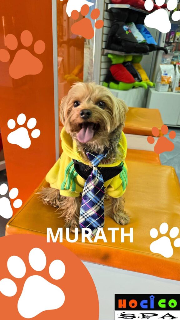 496127047_1277878317674904_5146296008593840136_n