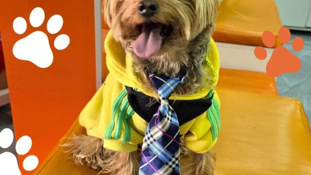 496127047_1277878317674904_5146296008593840136_n