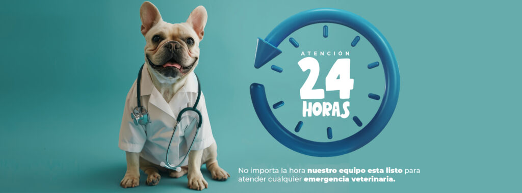 503437993_1230866431960911_5218961967299360896_n