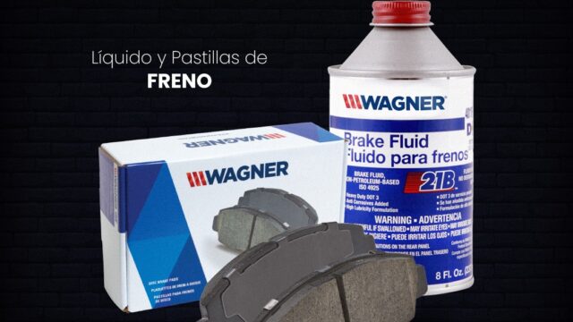 503582426_1169509231878485_6923845755649054027_n