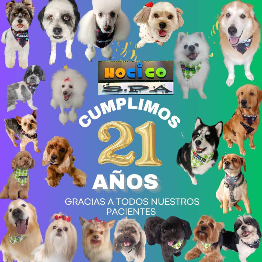 503644650_1300164388779630_487948976341267219_n