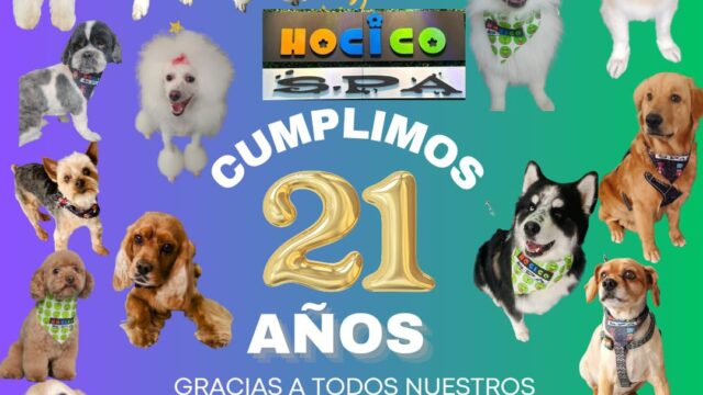 503644650_1300164388779630_487948976341267219_n