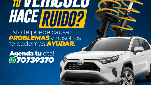 503650101_1313022010828007_9154045640244377055_n