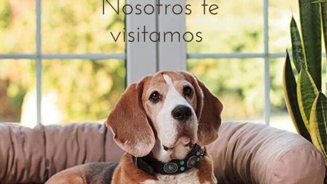 507039428_1301909571942381_7823620386291591900_n