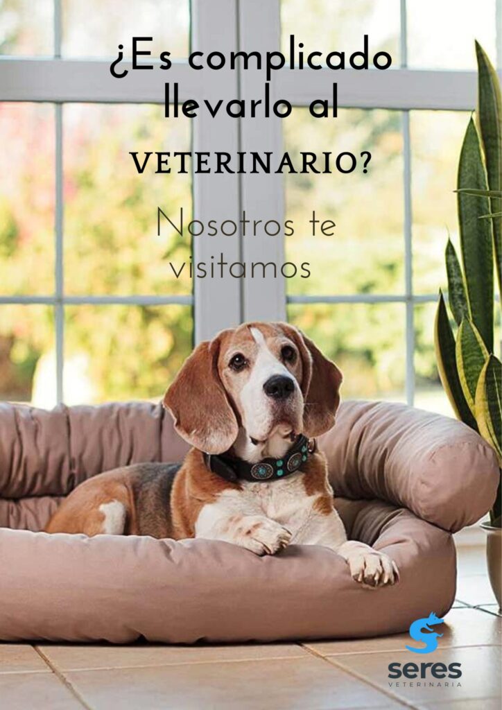 507039428_1301909571942381_7823620386291591900_n