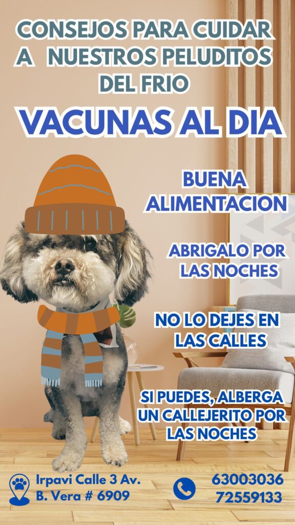 508552542_1224157609502014_4494857217682555281_n