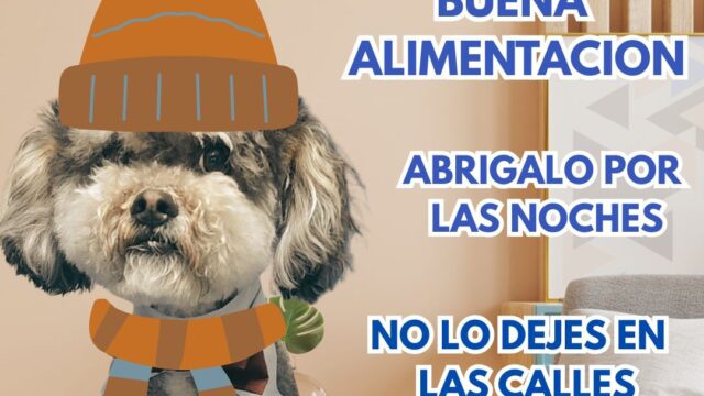 508552542_1224157609502014_4494857217682555281_n