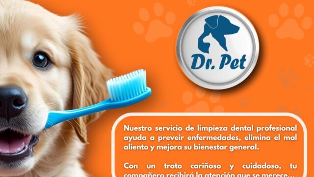 511677821_1417896720052363_2954986893824864943_n