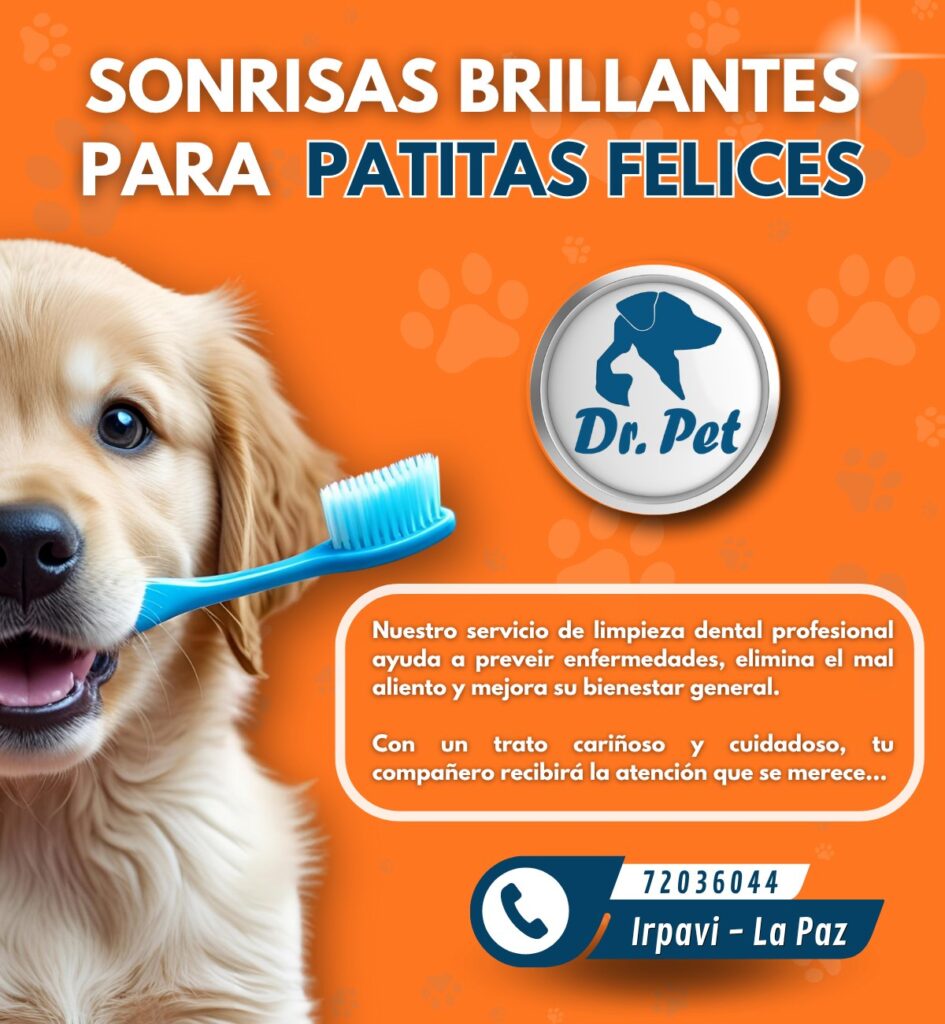 511677821_1417896720052363_2954986893824864943_n