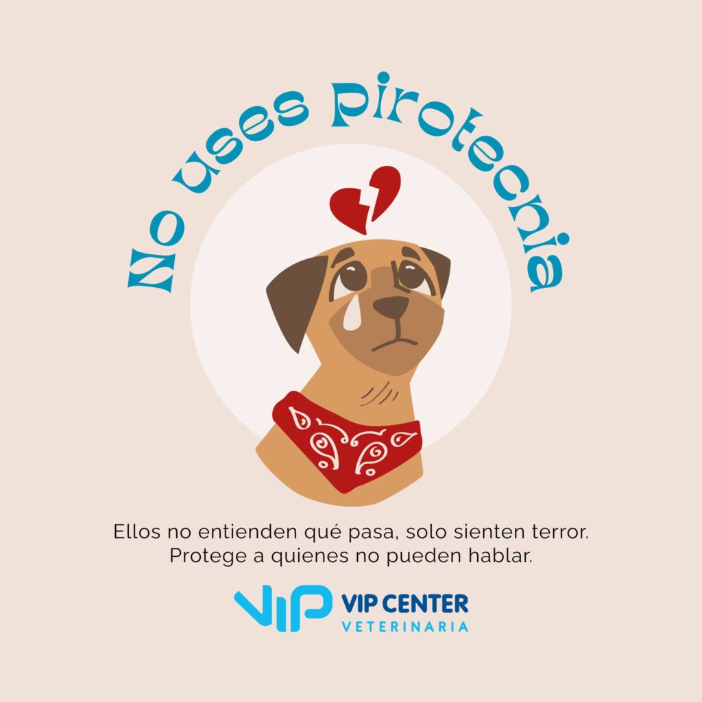 512452068_1363783482136139_9027143643136344417_n