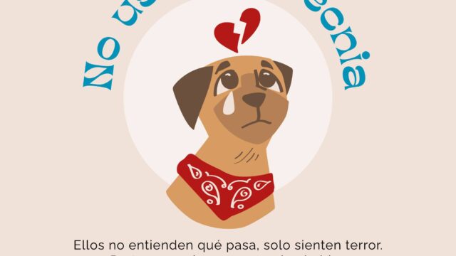 512452068_1363783482136139_9027143643136344417_n