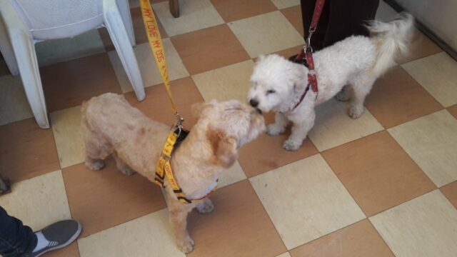 512697691_10036470949776140_8181659049465352060_n