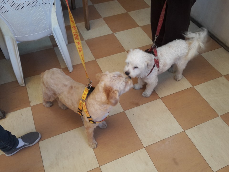 512697691_10036470949776140_8181659049465352060_n