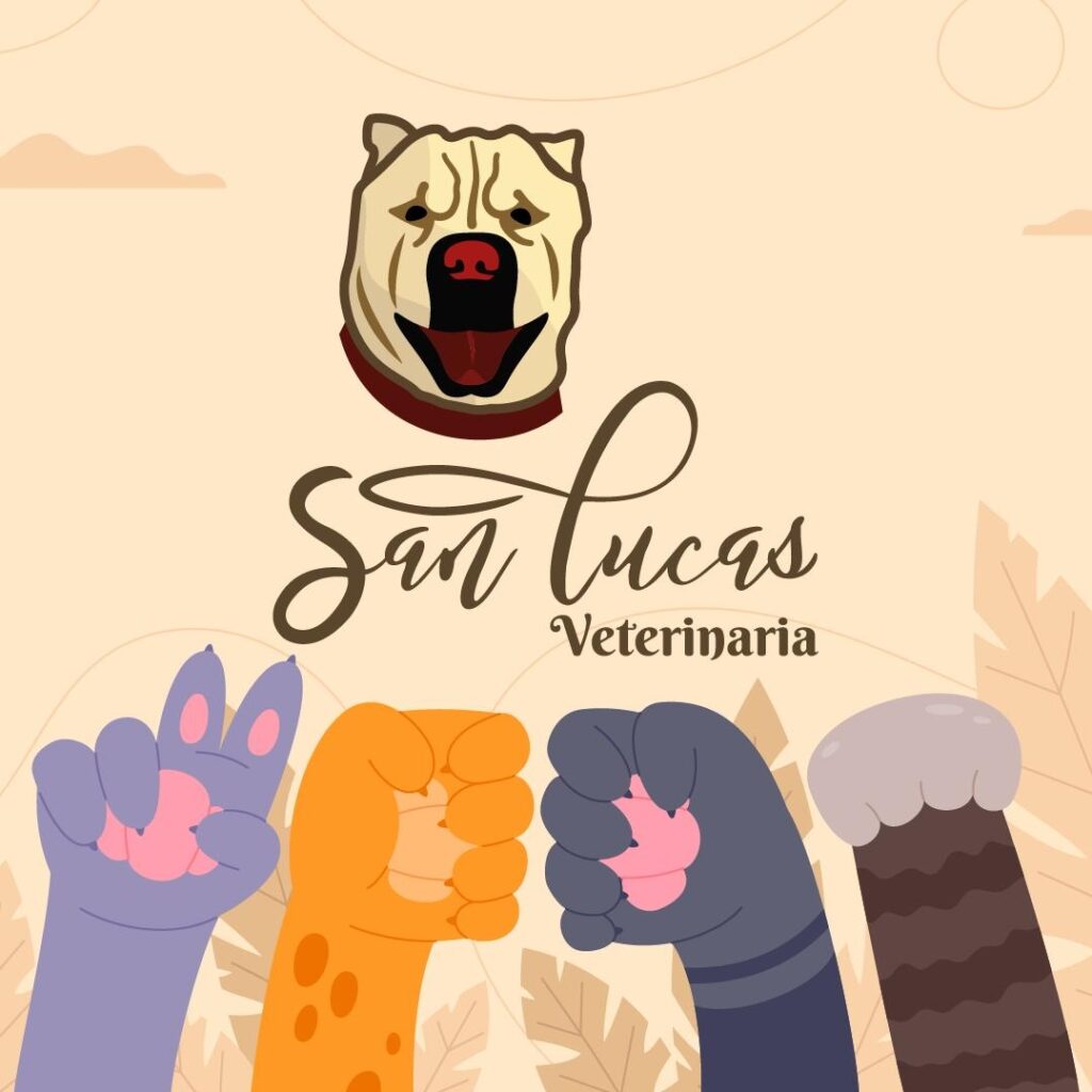 514221033_1570584031049497_7829048340998198449_n