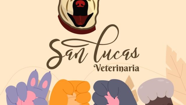 514221033_1570584031049497_7829048340998198449_n