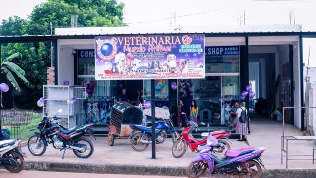 514406970_1187611973167555_8459323488831879391_n