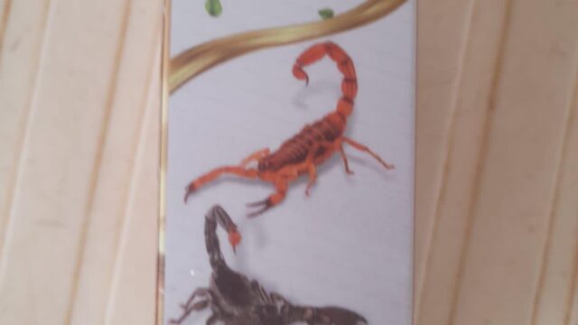 517115248_1287878069807157_1507544695296361550_n