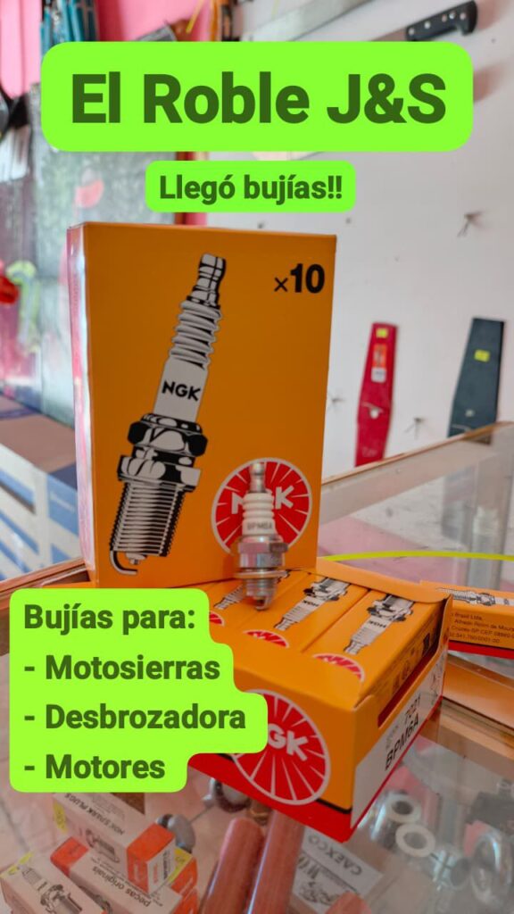 517334862_122168698760379775_6976383279566209583_n