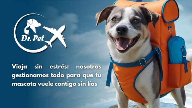 518192019_1437001628141872_1134163336063336022_n