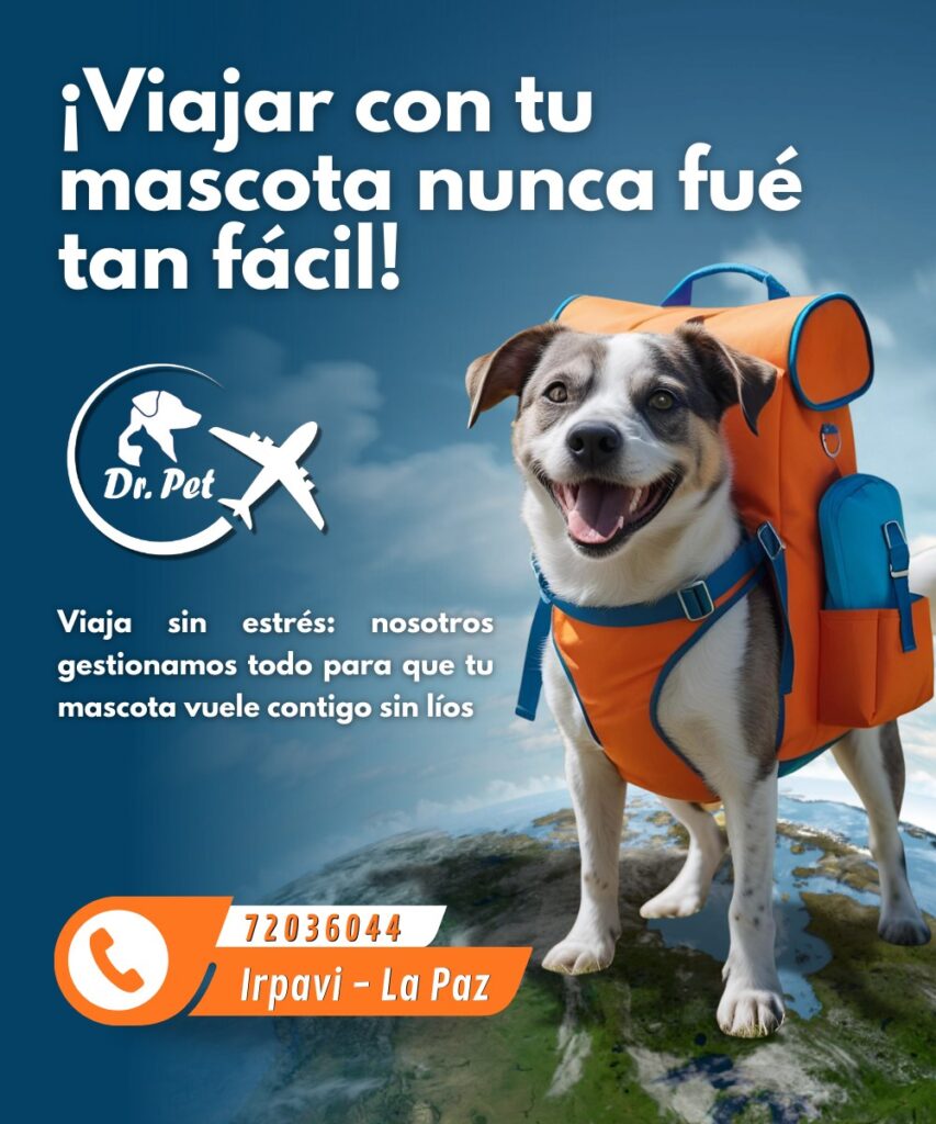 518192019_1437001628141872_1134163336063336022_n