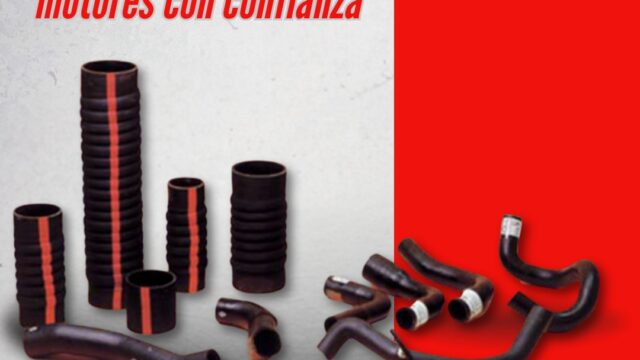 522457514_1212295104266564_3144777834553348817_n