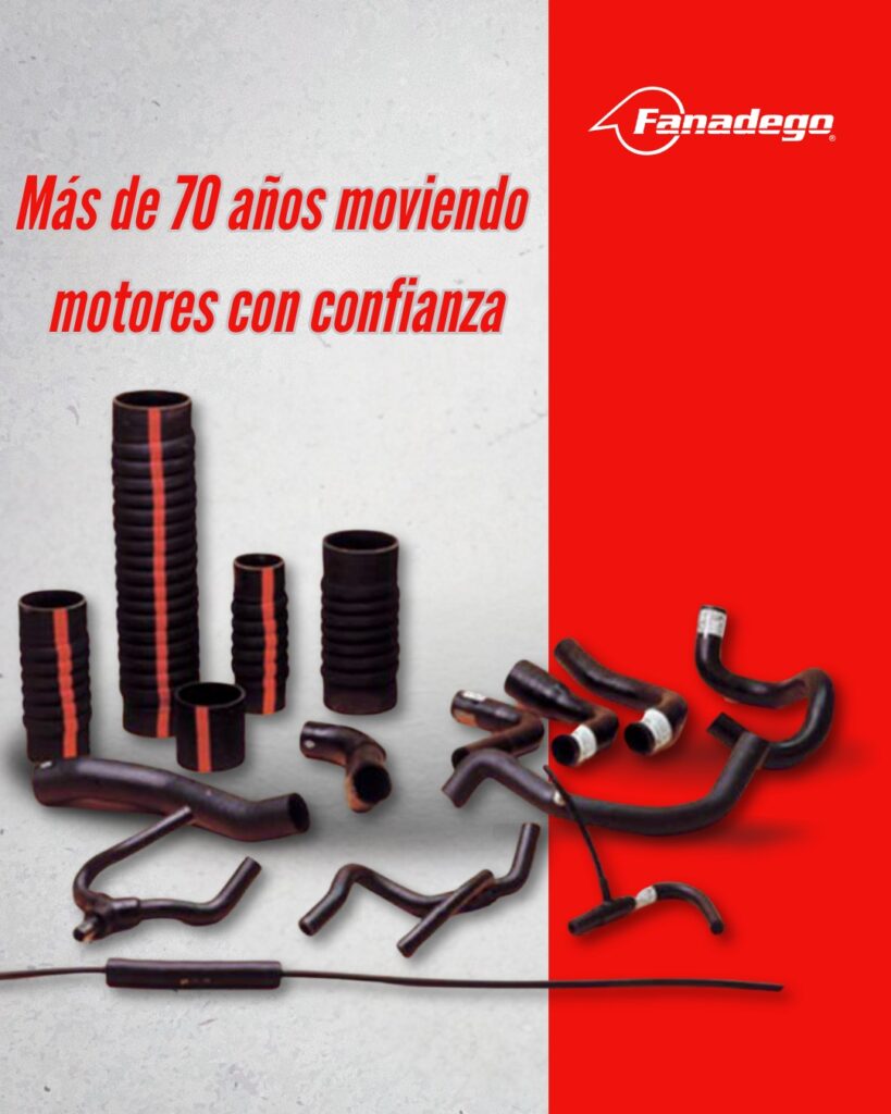 522457514_1212295104266564_3144777834553348817_n