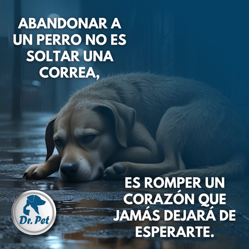 527964344_1456448242863877_6322326499701367748_n