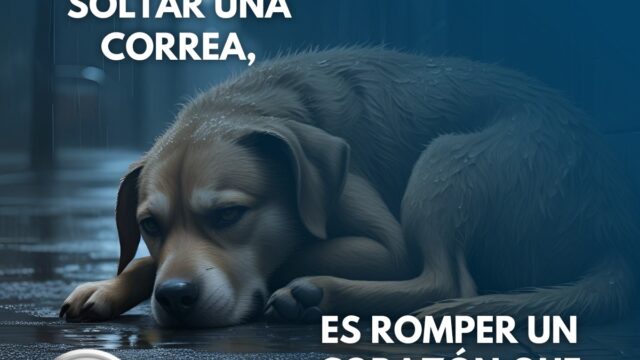 527964344_1456448242863877_6322326499701367748_n