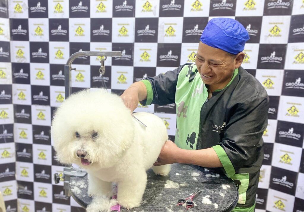 527993900_1307185701412776_2788687086139940884_n