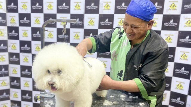 527993900_1307185701412776_2788687086139940884_n