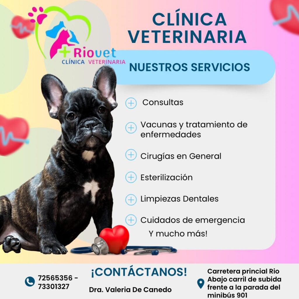 529235936_734584812665804_7252743865652492353_n