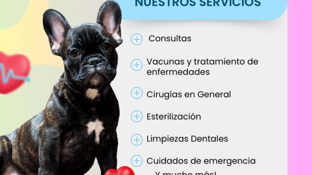 529235936_734584812665804_7252743865652492353_n