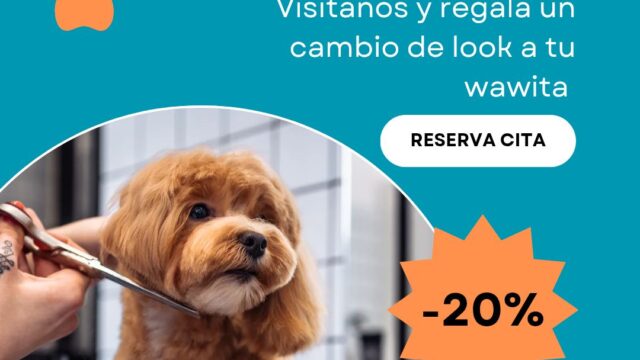 529685702_1349868647146473_1884852008946172380_n