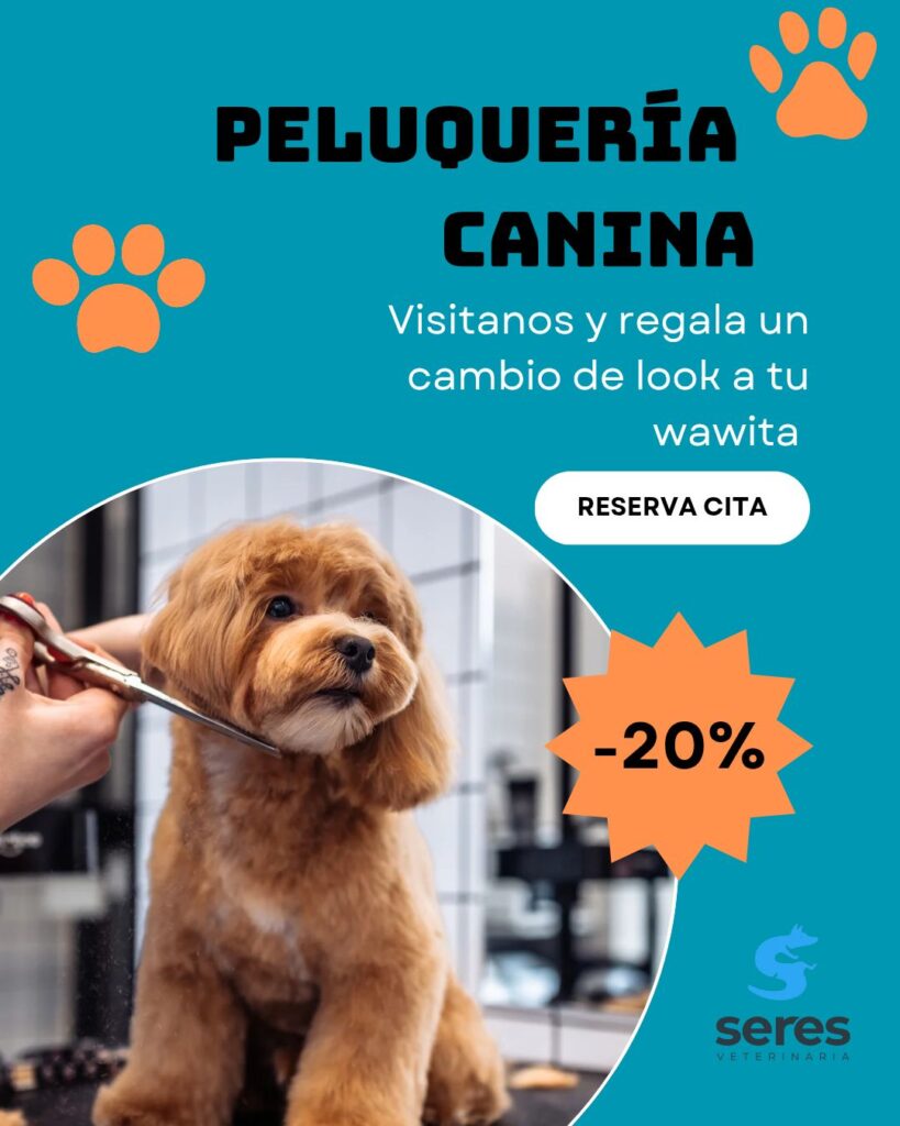 529685702_1349868647146473_1884852008946172380_n