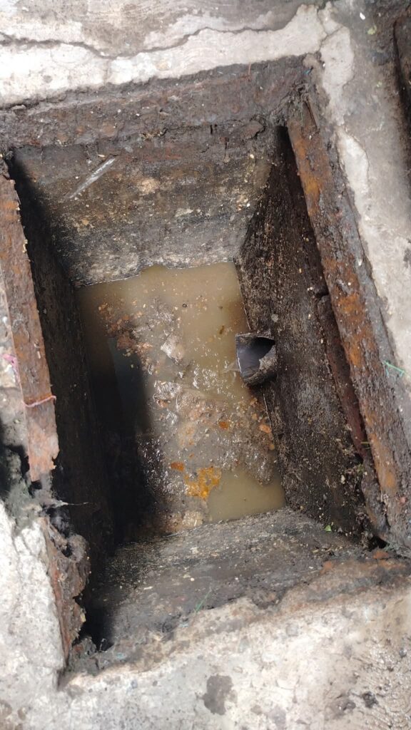 530752695_1145540440726985_3242599711790535977_n