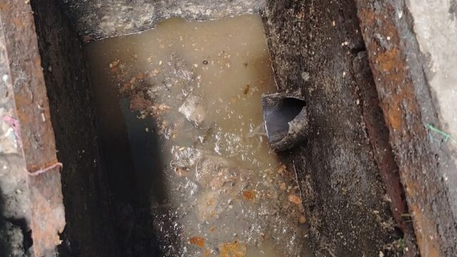 530752695_1145540440726985_3242599711790535977_n