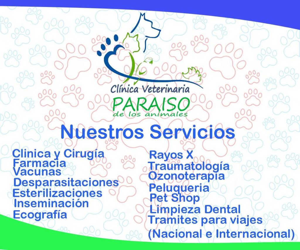 531869955_1337397908386420_4362567511374799493_n